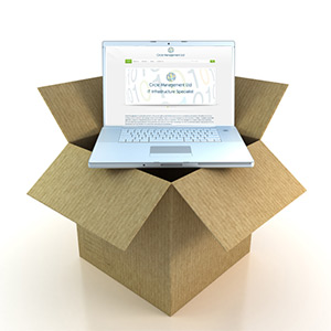 it-relocation
